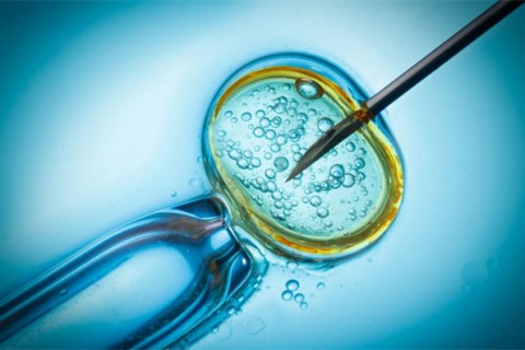 http://fuzhou.qqkaixin.com/post/199.html|福州供卵助孕